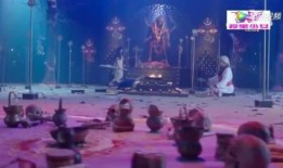 泰国片蛇女在线观看,神秘诅咒下的复仇之旅